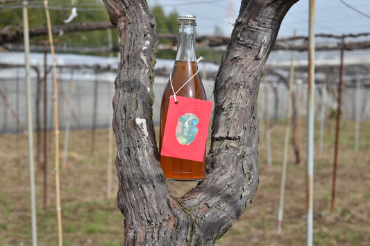 オレンジスパークリングワイン T2025