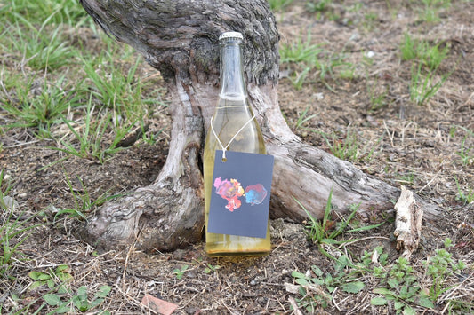 スパークリングワイン　K2025