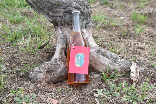 オレンジスパークリングワイン　T2025