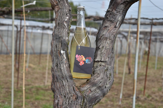 スパークリングワイン　K2025